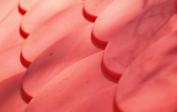 Ambleston plastic roof costs