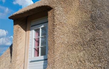 Ambleston thatch roof disadvantages